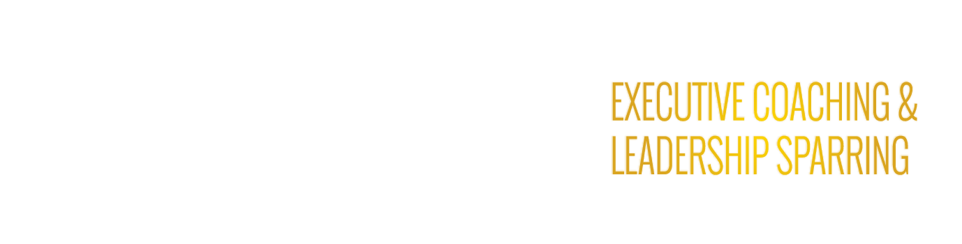 dimitri lewan executive coaching and leadership sparring